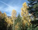 high-sierra-110510-14