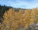high-sierra-110510-21