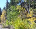 sonora-pass-day-trip-09/28/10
