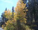 sonora-pass-day-trip-09/28/10