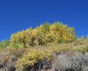 sonora-pass-day-trip-09/28/10