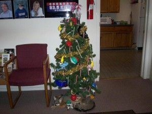 Anything from the office has made it on the tree.