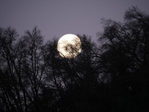 supermoon-1