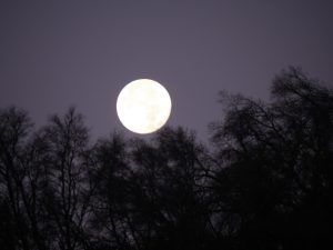 supermoon-2